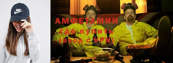 прущие грибы Няндома