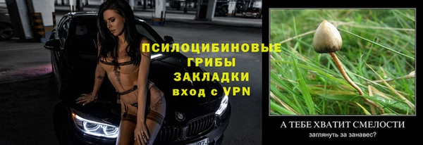 метадон Осташков