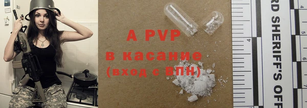 прущие грибы Няндома