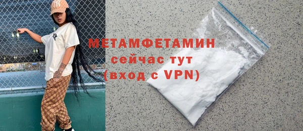 прущие грибы Няндома