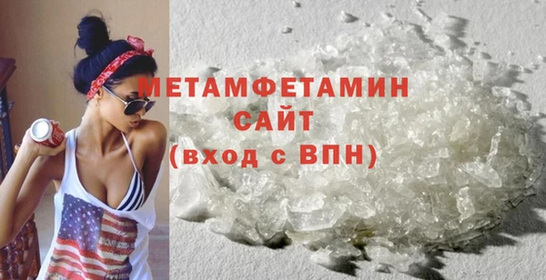 прущие грибы Няндома