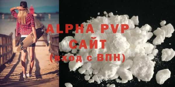 прущие грибы Няндома