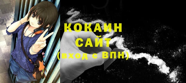 прущие грибы Няндома