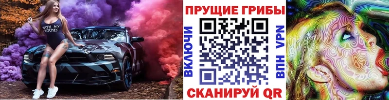 Псилоцибиновые грибы Psilocybe  хочу   Тотьма 