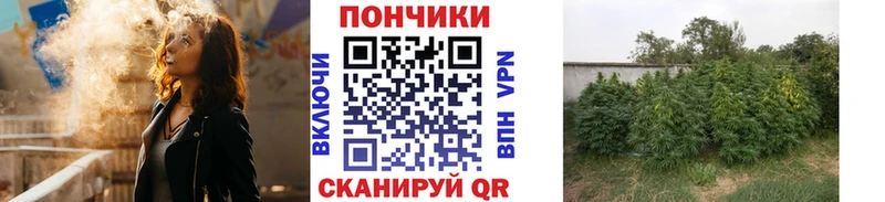 MEGA маркетплейс  Тотьма  Канабис Bruce Banner 